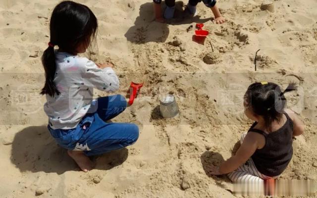 |水管工 VS 白领!AI崛起时代,澳洲华人子女转战“蓝领赛道”!