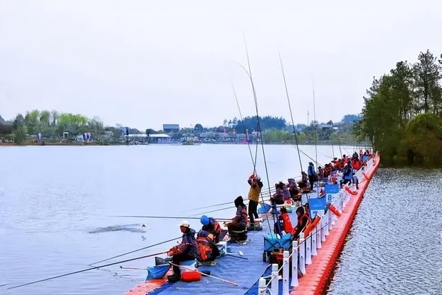 硅胶|刘志强燕语湖比赛复盘，第一天细节制胜，最后因挂底痛失好局