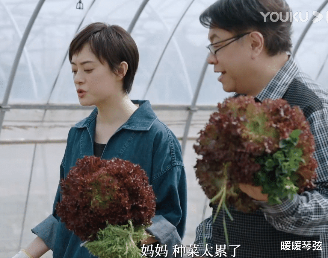 唐艺昕|孙俪素颜上综艺称不当全职妈妈,从不看邓超手机,澄清:我没甲亢