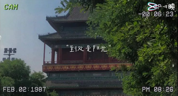 朴树|49岁的朴树，也该收手了