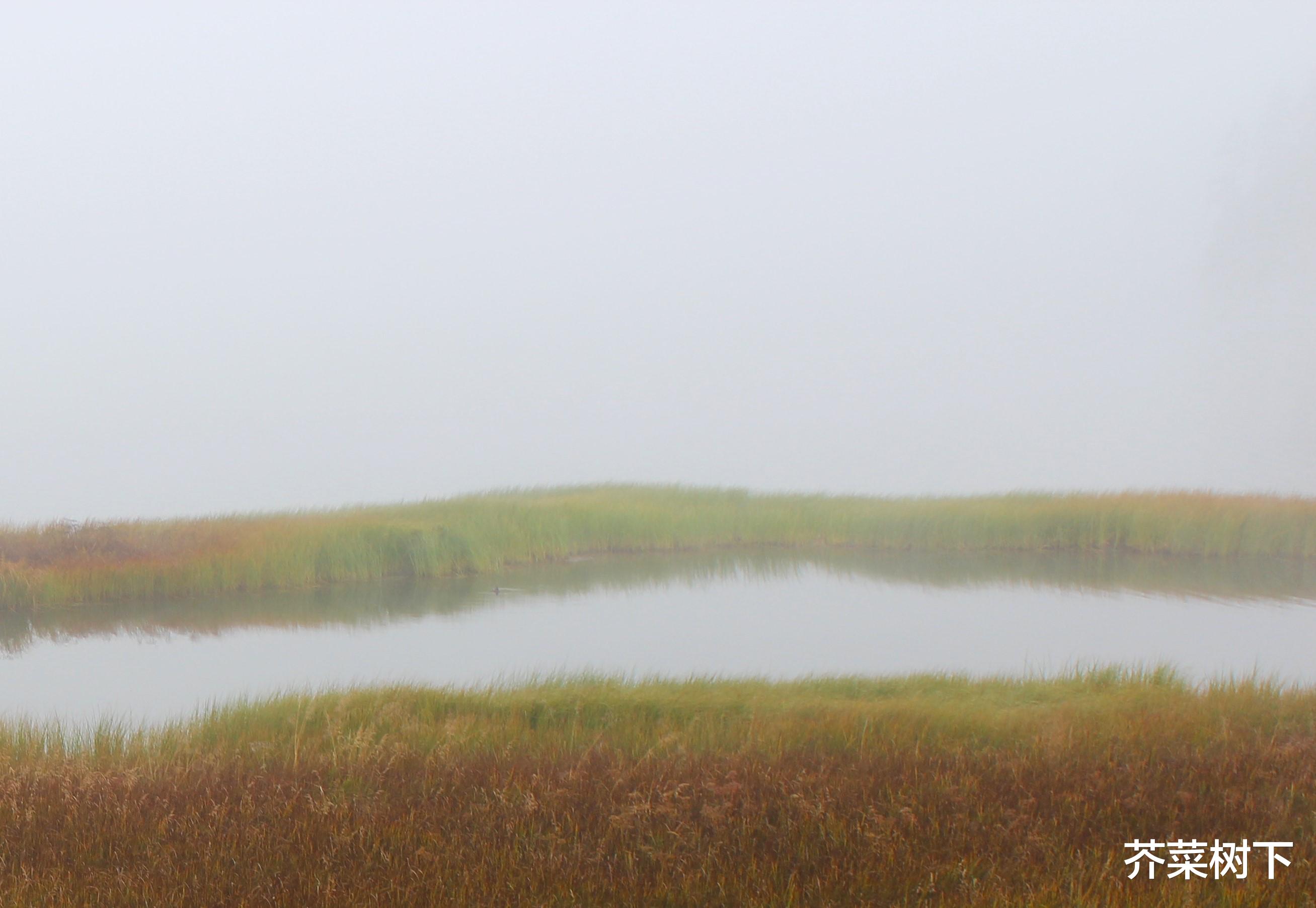应届生|职场的期望,不能寄托于人的良心