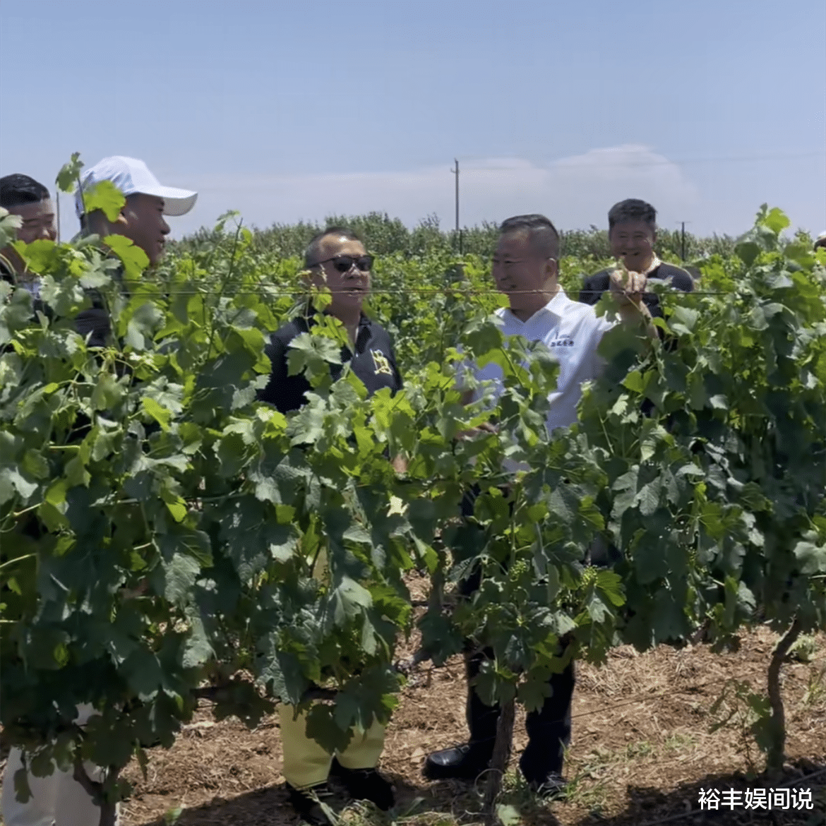 |曾志伟到山东视察酒庄！总投资7位数，20多人前呼后拥气场超足