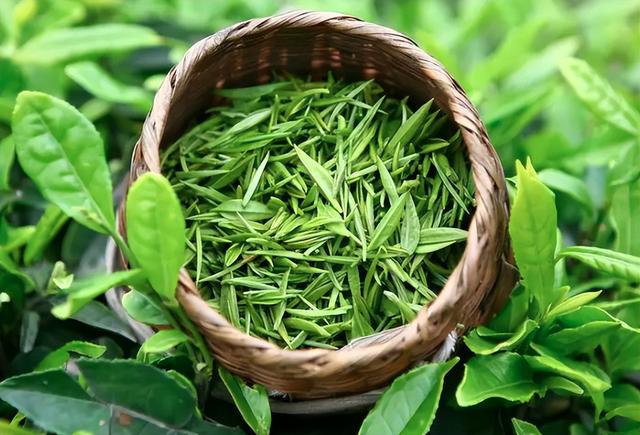 茶水成了“夺命水”?男子喝后器官坏死!医生:喝茶请牢记这4点