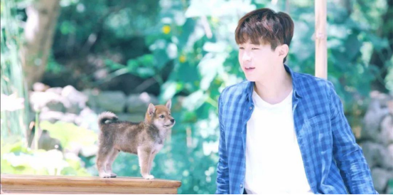 刘宪华|刘宪华回来了，才是《向往的生活》，但他只录制一期