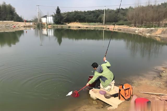 为什么越来越多的钓友,不玩黑坑改玩野钓?