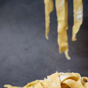 狗狗的搞笑趣事儿