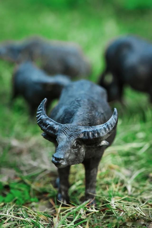 邮票|不只手镯！乌鸡翡翠雕牛，别有风味~