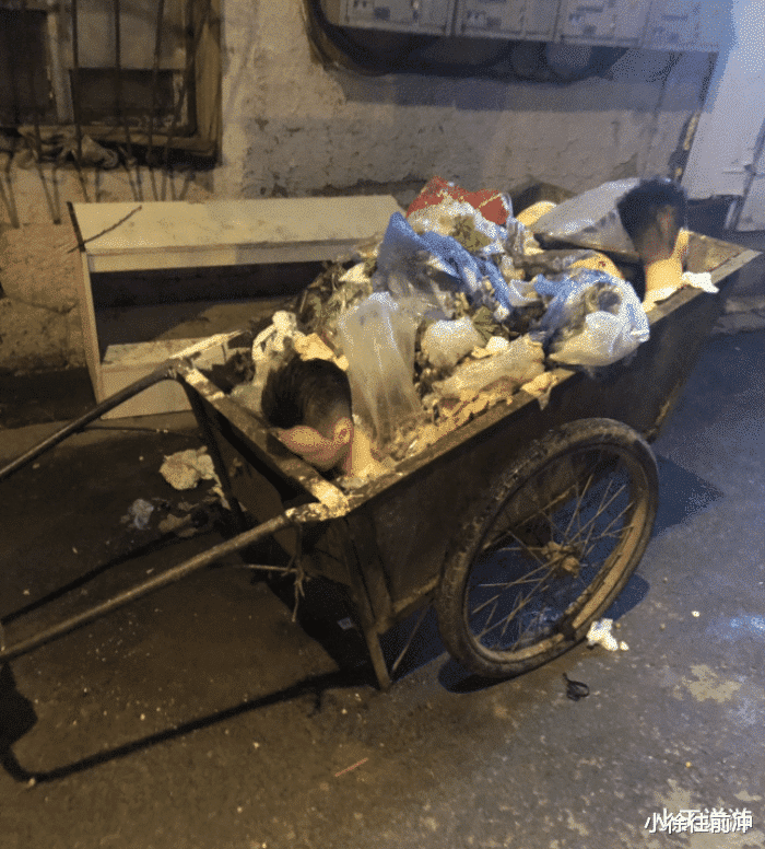 卡路里 “大半夜路过垃圾站看到的，这谁顶得住啊？”到底是谁干的！