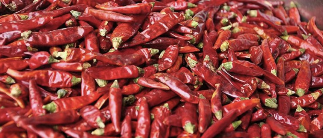 辣椒|全国哪的辣椒最好吃？经过评选，这6个地方上榜，有你家乡吗？