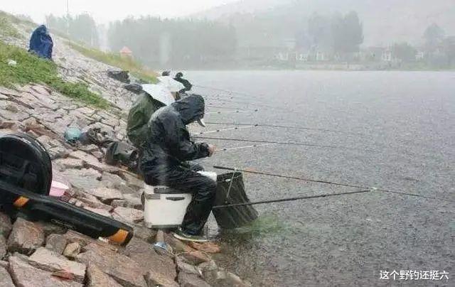 鲤鱼|雨后鱼口真的会变好吗？雨天如何作钓？钓深与钓浅哪个效果好？