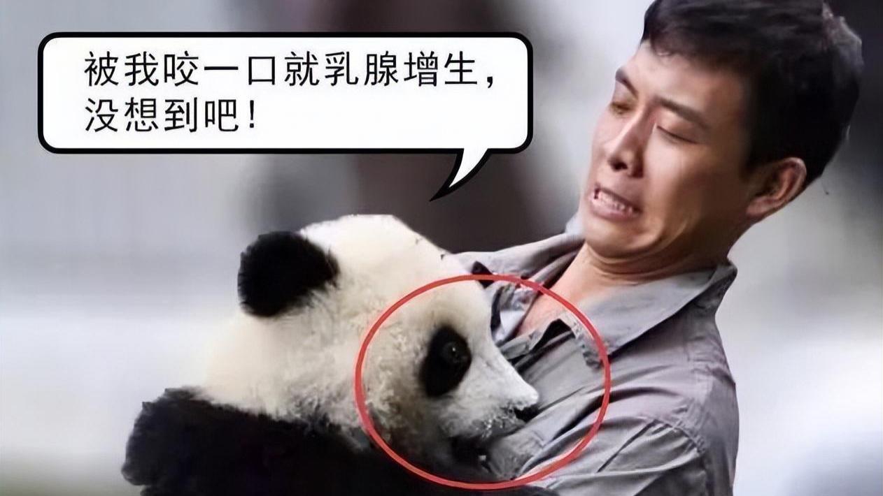 以为是假新闻，其实是真新闻，从张译到撒贝宁，个个都惊呆众人