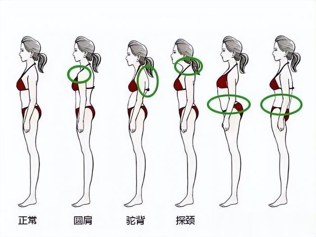 跑步|白百何罗云熙身材被质疑，减肥哪些坑千万别踩？体态比体重更重要