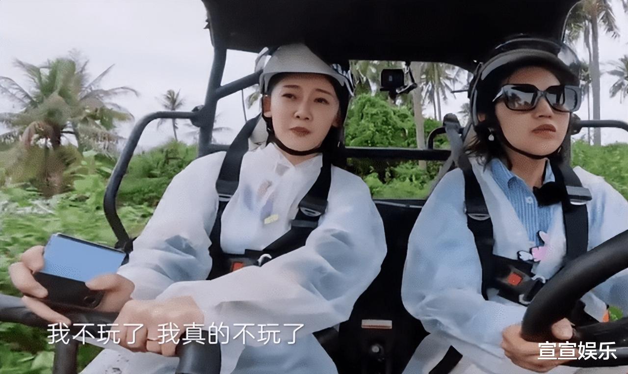 苗苗|放弃富豪千金,娶了“扮猪吃老虎”的苗苗,是郑凯今生最大的误判