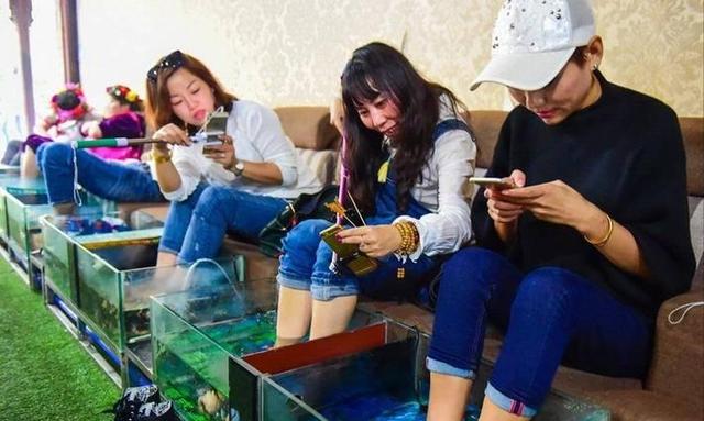 恐怖的温泉鱼疗:吃脚皮、治脚气全是假象,整条鱼进去只剩骨架