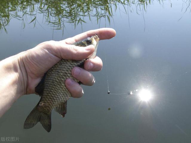 冬钓遇到这几种天气,赶紧出门甩两竿!鱼获有惊喜