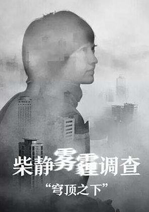 柴静|从“公知女神”到“跌落神坛”,柴静到底做了什么?