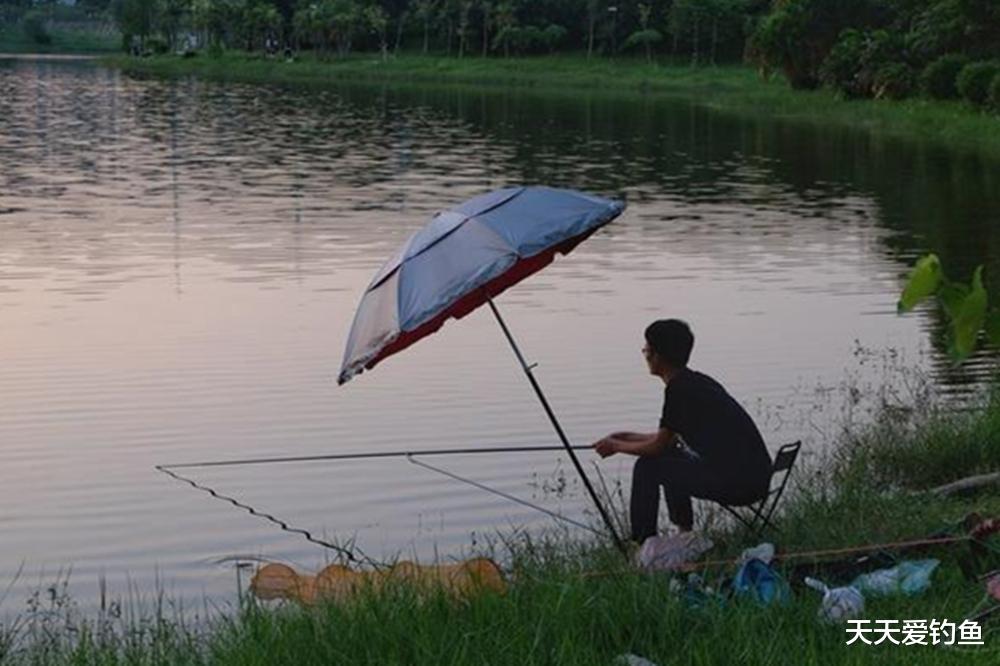 |夏季钓鱼,学会3个“万金油”招数,天热也能大鱼连竿