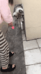 大门|“总经理办公室这样设计，要不要加厚隔音墙呢？”哈哈哈哈哈太有才了