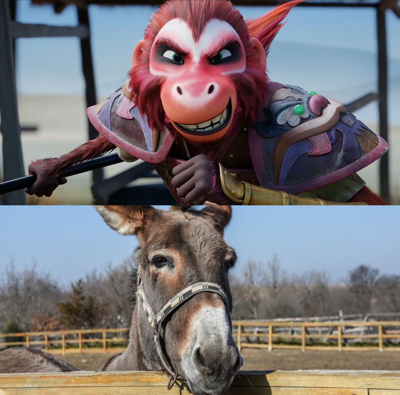 张柏芝|星爷翻车?美猴王惨变大毛驴 周星驰监制美版西游记引争议