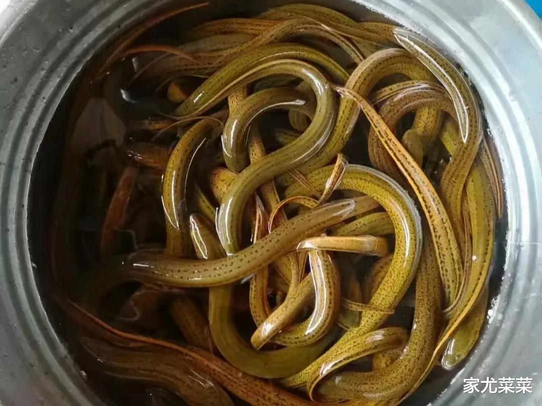 |2023三伏长达40天!你敢信吗?今年三伏很特殊,提醒大家早做准备