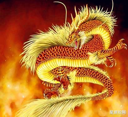 辽宁男篮|即将被好运气眷顾的4个生肖,5月富起来,6月有名望