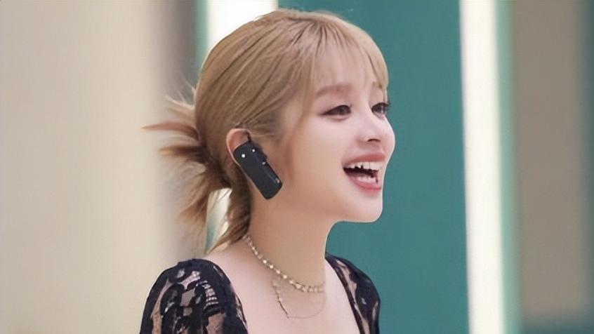 翻译|一纸声明毁掉整档节目！《乘风》首现“关系户”，上蹿下跳真难看