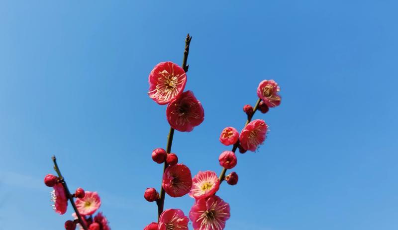 求职|到底是什么导致我们那么在意别人的看法?