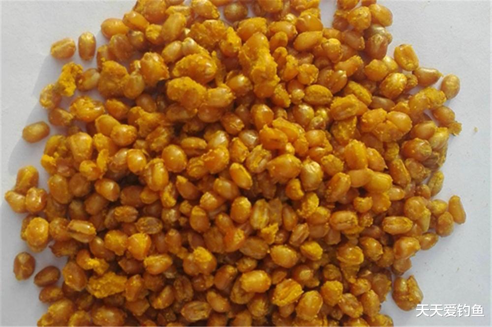 几个麦粒饵料配方，杂鱼咬不动，大鲫鱼手到擒来
