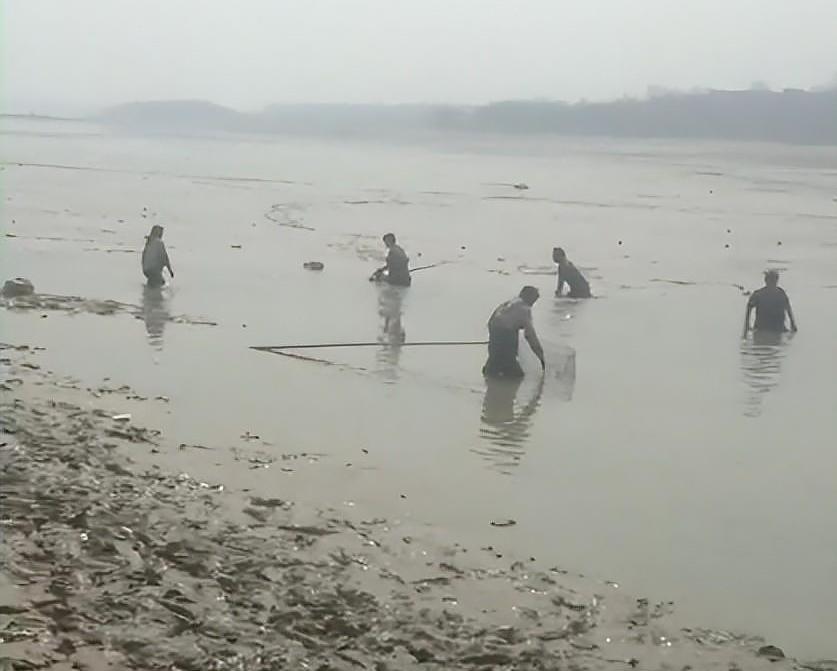 富不还乡!50岁男子“投资老家”遇纠纷:羁押234天后积郁病逝!