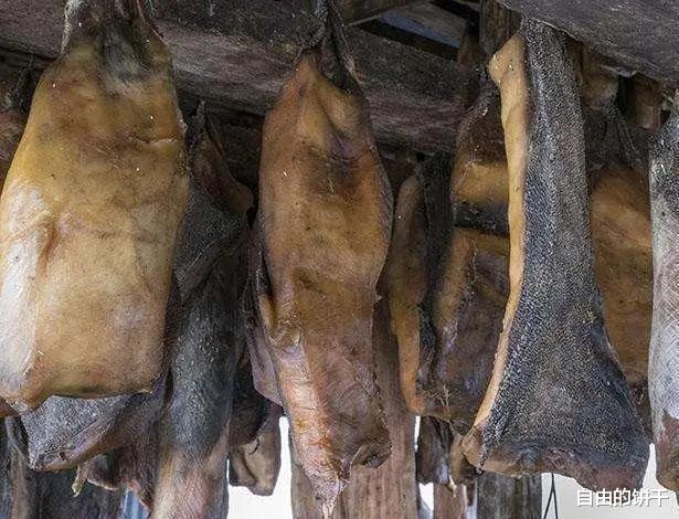 维京|哈卡尔特:无数维京人用生命研发出来的美食