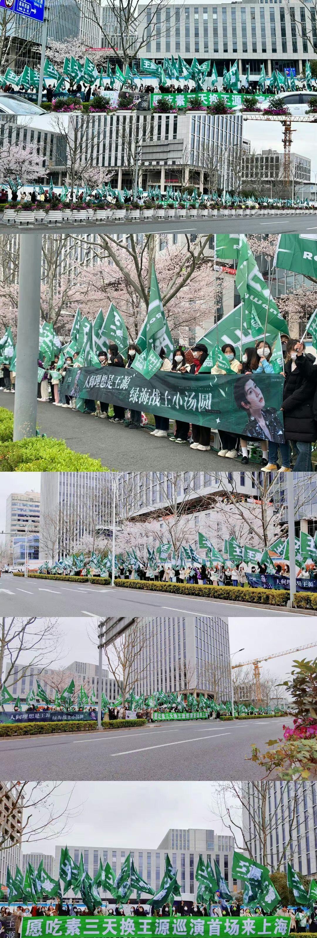 张雨绮|微博之夜太热闹，佟丽娅率先出图，杨幂逆应援，张雨绮礼服超豪华