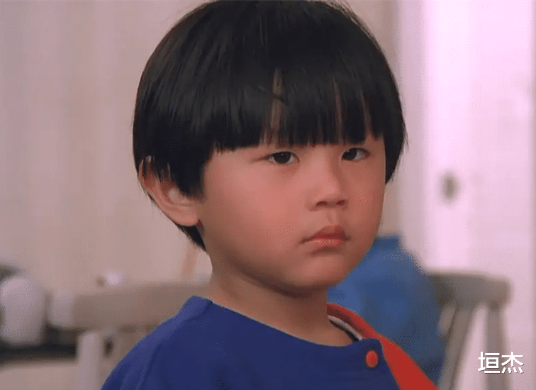 童星|当警察，身价上亿，沦为阶下囚，从顶流跌落后，过气童星现状各异