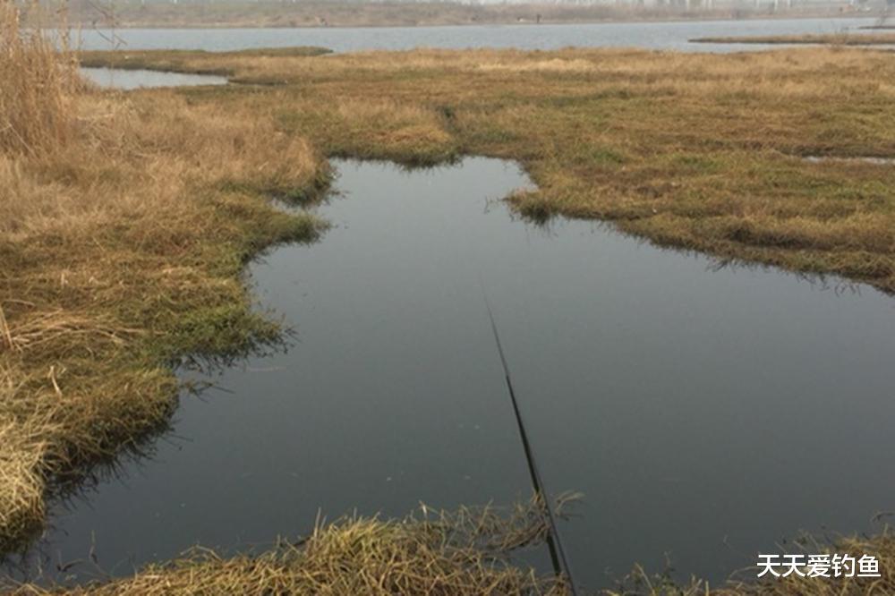 数九寒冬鱼最难钓，记住3个要点，天冷也能钓一波