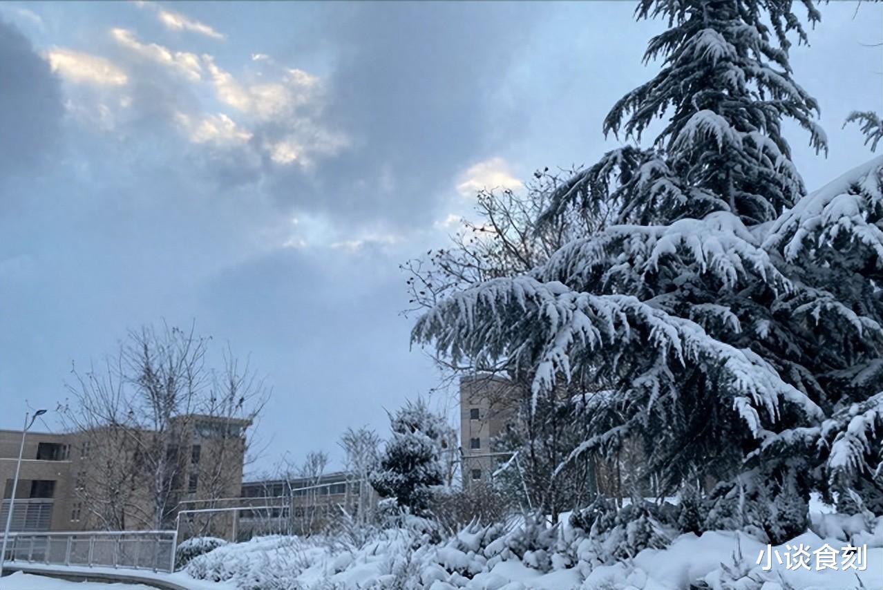 |“冷不冷，看大雪”，12月7日大雪，今年春节冷吗？有啥预兆？