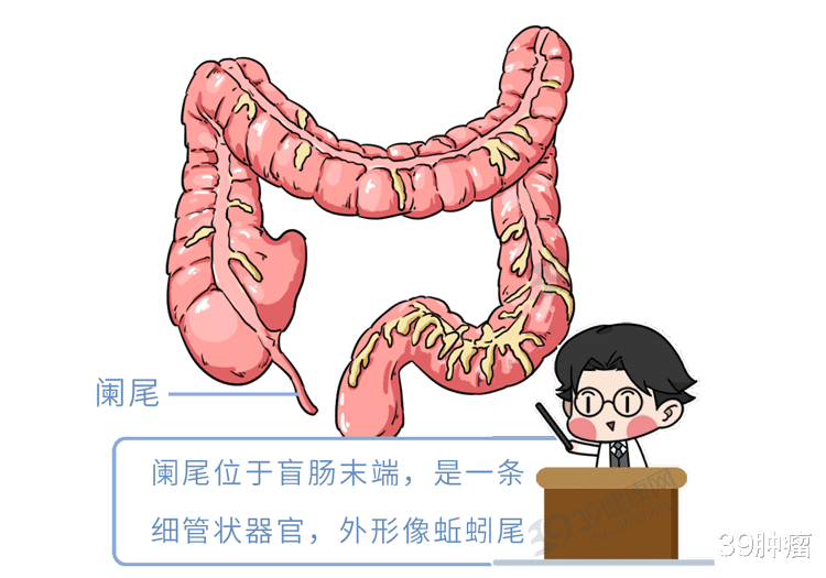 经常肚子痛是怎么回事？一张“腹部地图”，9个部位一目了然