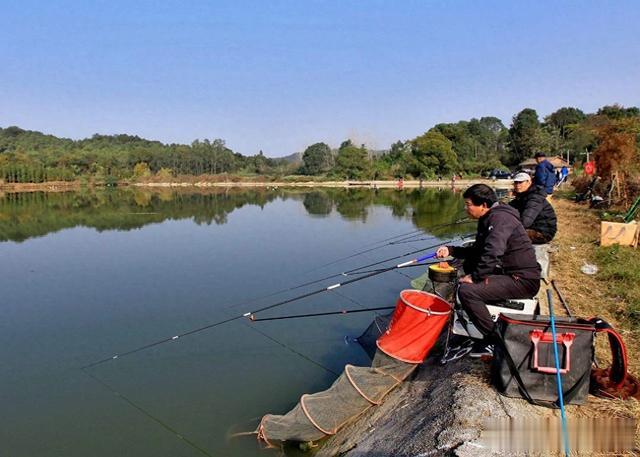 如何在家自制窝料