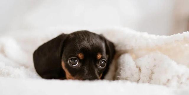 越是这样努力的人，可能越不幸