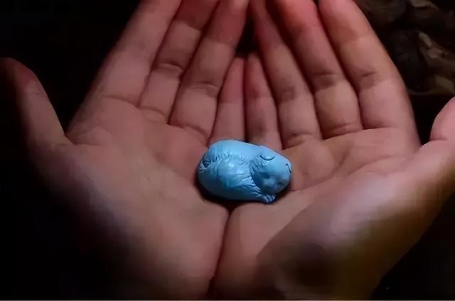 文玩|看看你的手串,就知道你是什么样的人!