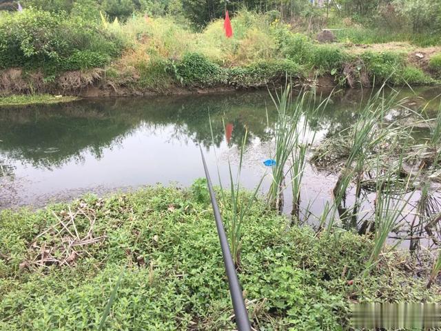 |探钓陌生水域的5个技巧,“找鱼”才是真正的爆护之道!