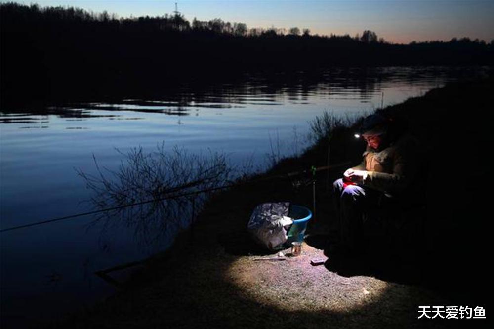 夜钓|晚春可以夜钓了，连竿秘诀5钓5不钓，大鱼轻松装满篓