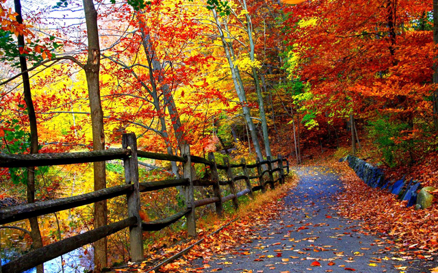 春节|十月赏秋层林尽染，六条自驾游路线，囊收华夏最美秋景，还不拥堵。