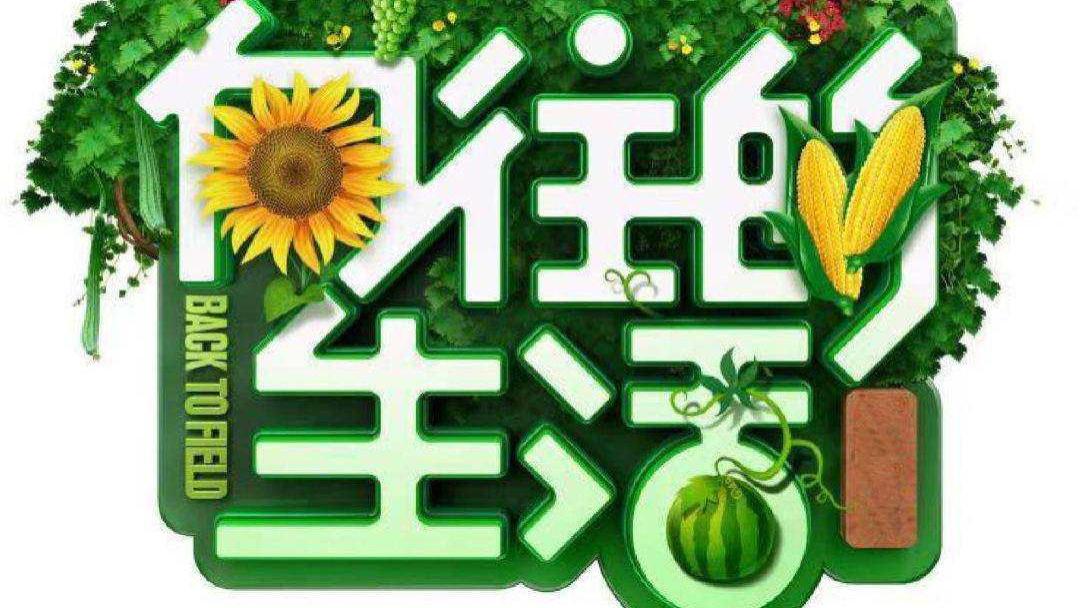 向往的生活|《向往的生活》结束了——对“向往的生活”的追求及心理层面解读