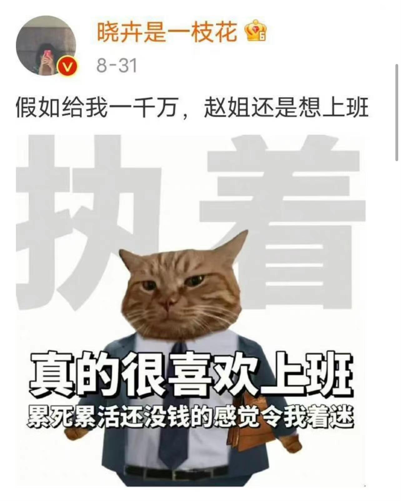 李诞|放下饭碗敢骂娘？笑果一凉，李诞被扒得“底裤”都不剩了