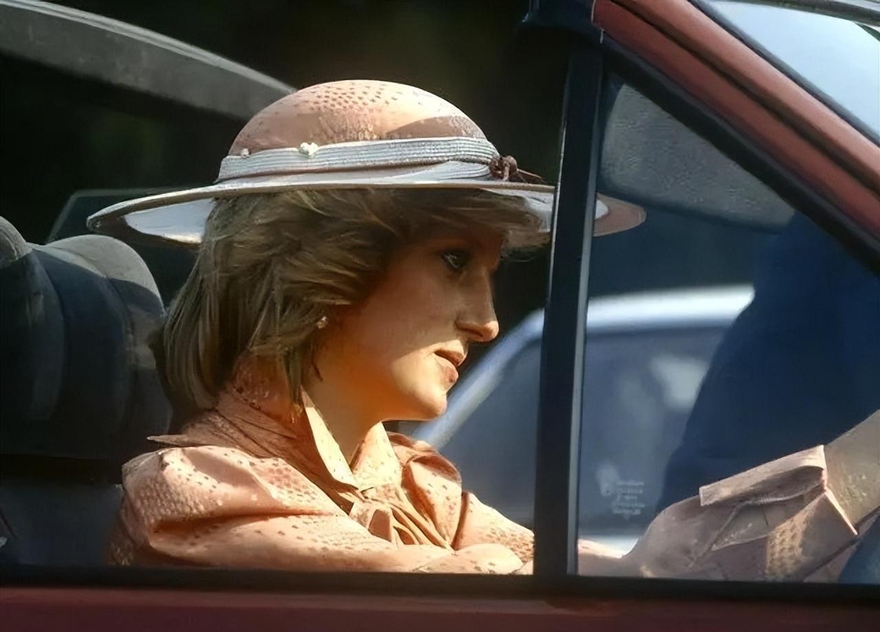 英国|杀手去日无多,2009年终说出戴安娜王妃是有人指使谋杀的!