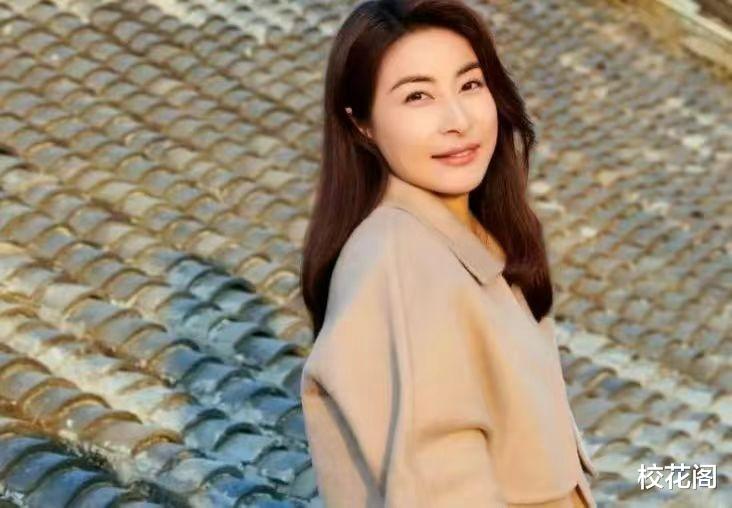 一张合影,彻底撕开豪门兴旺的秘诀,霍震霆的话,终于有人信了