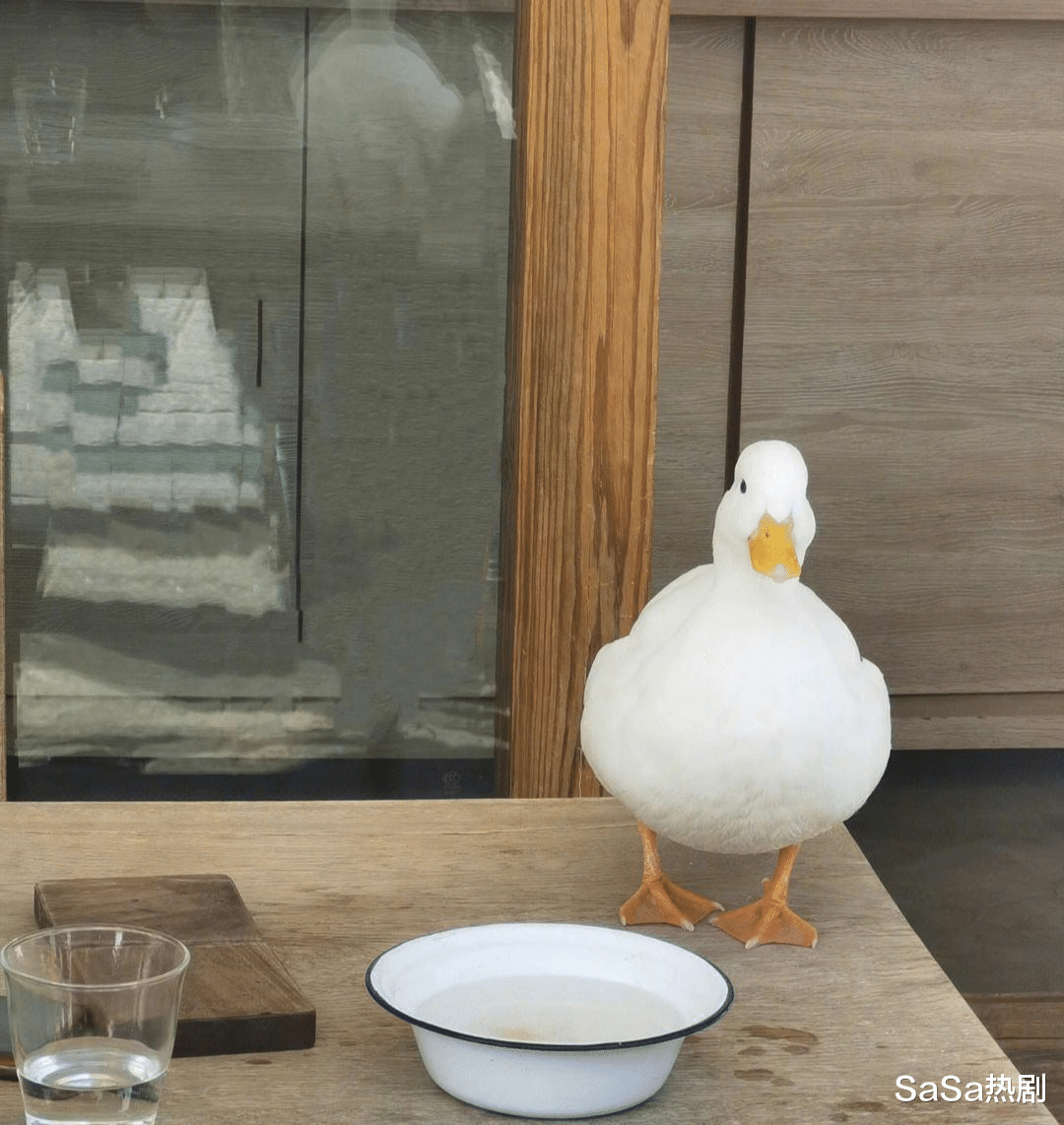 这样的刘亦菲你见过吗？她很单纯也很清醒，神仙姐姐绝非浪得虚名