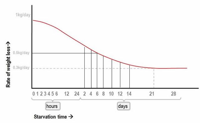 饮食|秦昊通过严格节食,5天减重8斤,可能吗?如此减肥真的伤身?