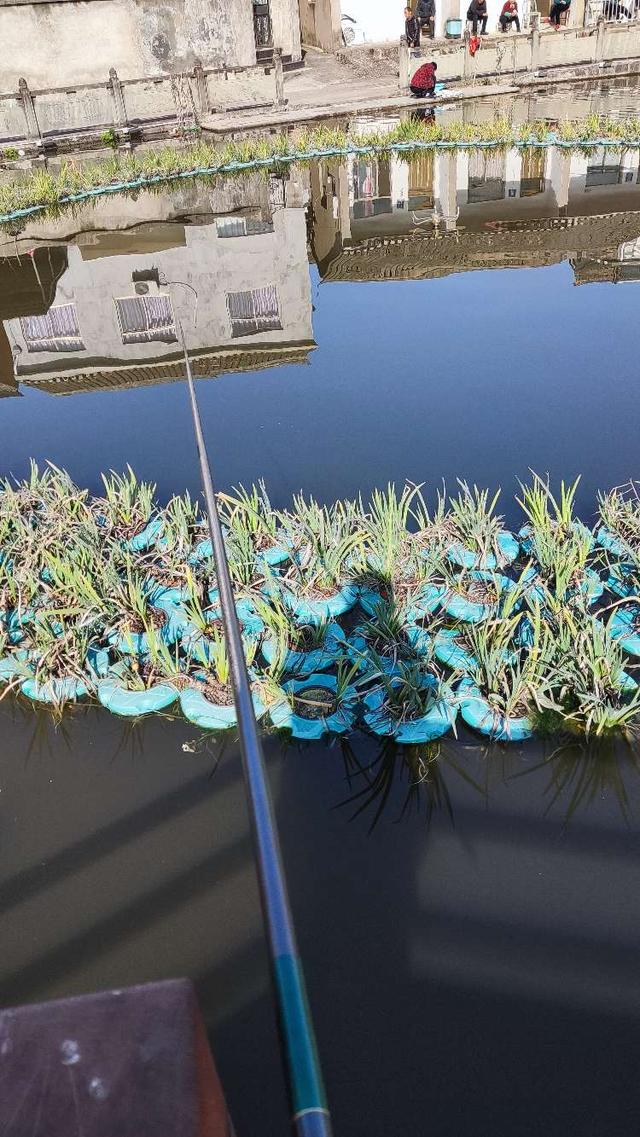 路亚竿|【钓鱼之家虾粉】冬去春来又到钓鱼季