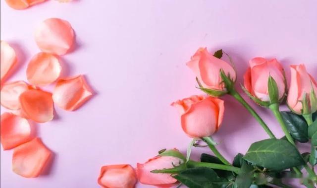 售货员|那年去二姑家走亲戚，吃了三个大虾，二姑说我没规矩，过后我才懂