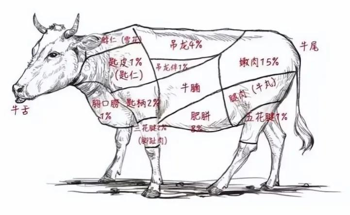 潮汕牛肉火锅|集体倒闭,红极一时的潮汕牛肉火锅为啥跌落神坛了?